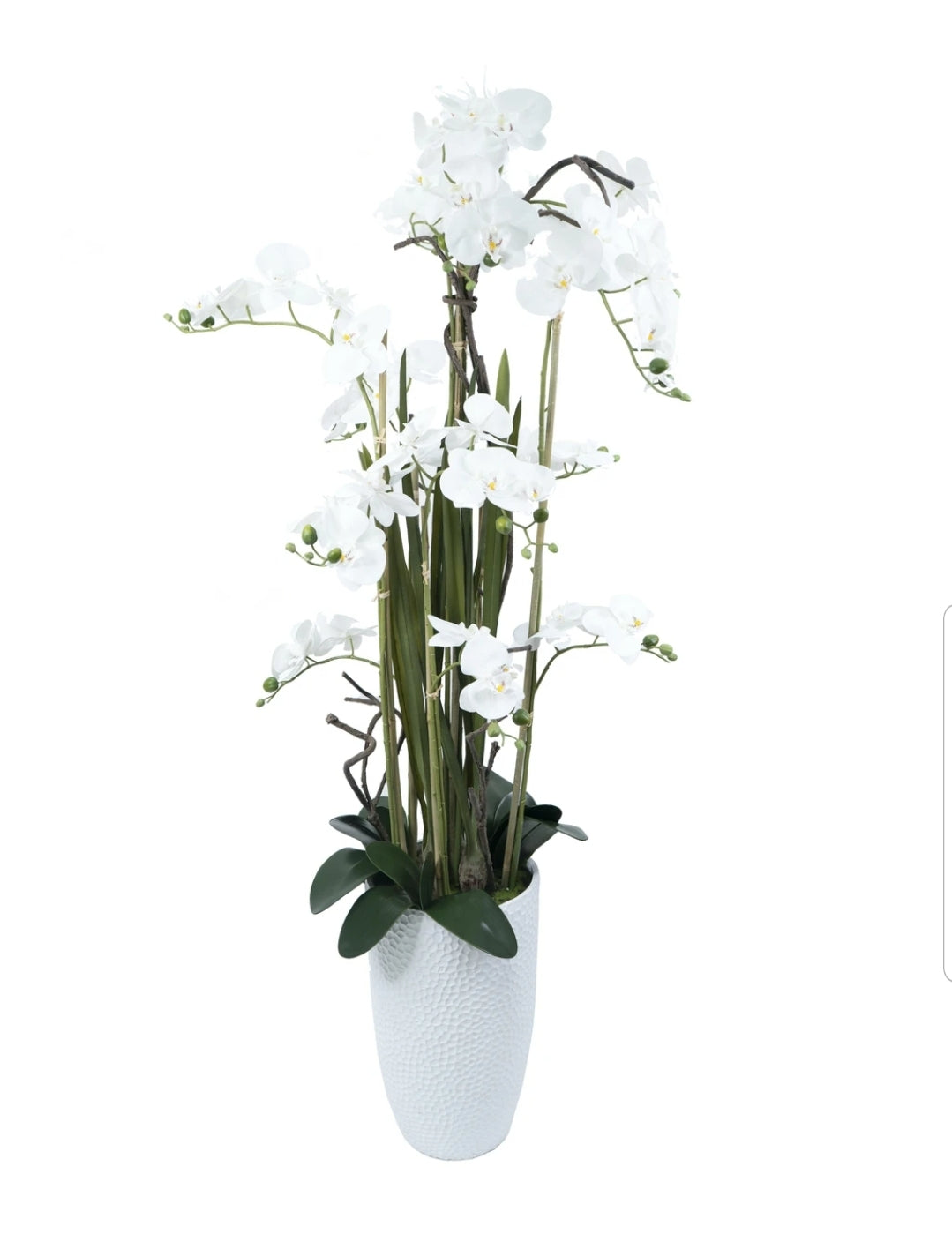 Floor Vase Orchid Arrangement
SH4410