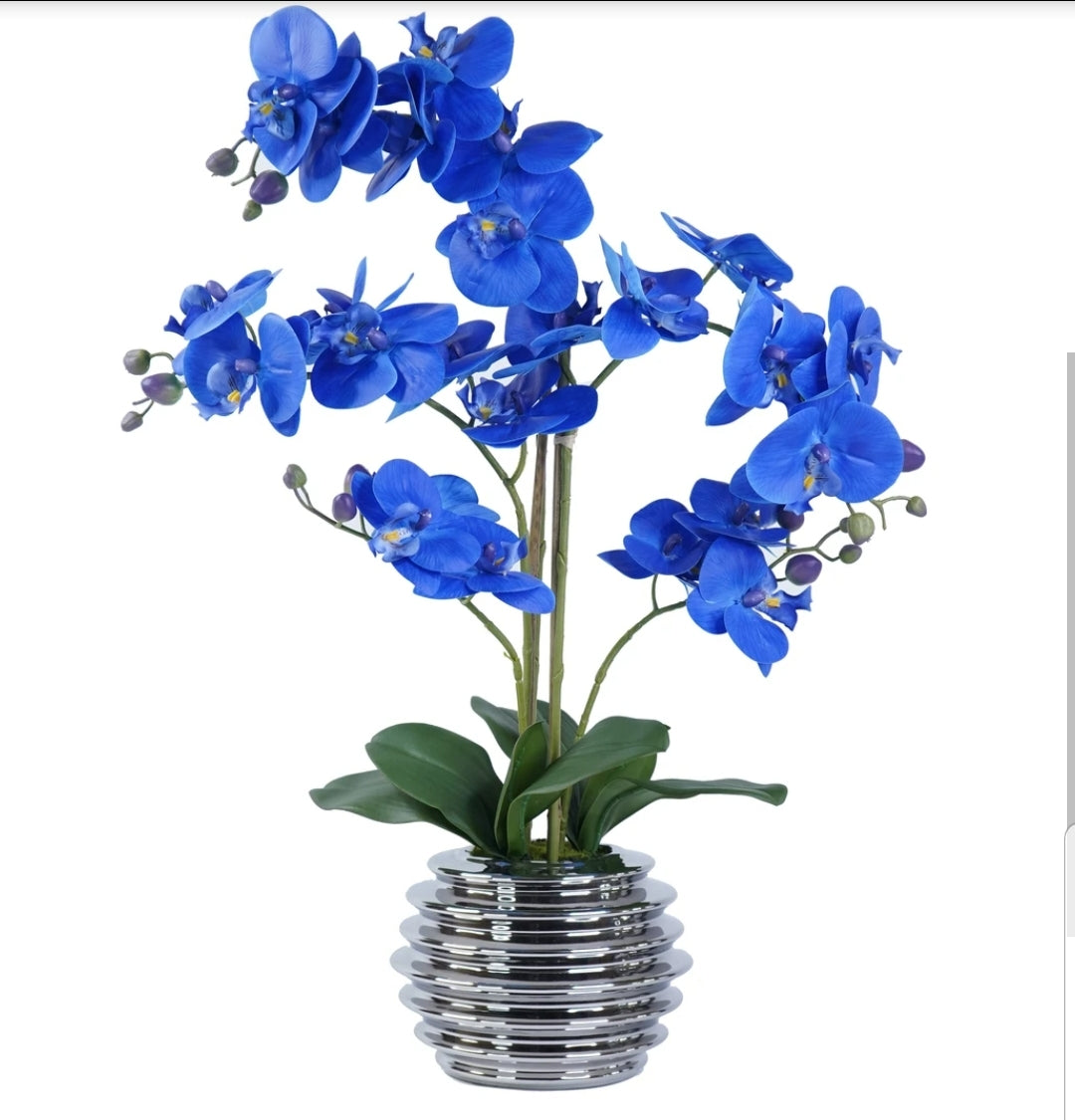 Orchid Arrangement
SH4436 Blue