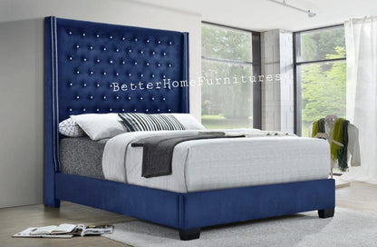 Victoria Blue Queen/ King