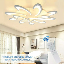 Load image into Gallery viewer, Acrylic LED Ceiling Light Flush Mount Lamp Modern Living Room Bedroom Chandelier
