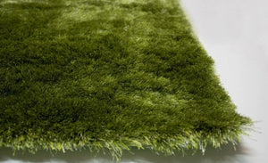 5'x7' Feet Green Apple Green Color Solid Shag Shaggy Area Rug Carpet Rug Plush