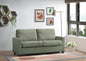 Zenas Futon

Sleeper Sofa 57220