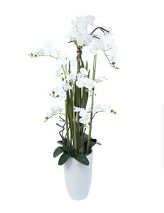 Floor Vase Orchid Arrangement

SH4410