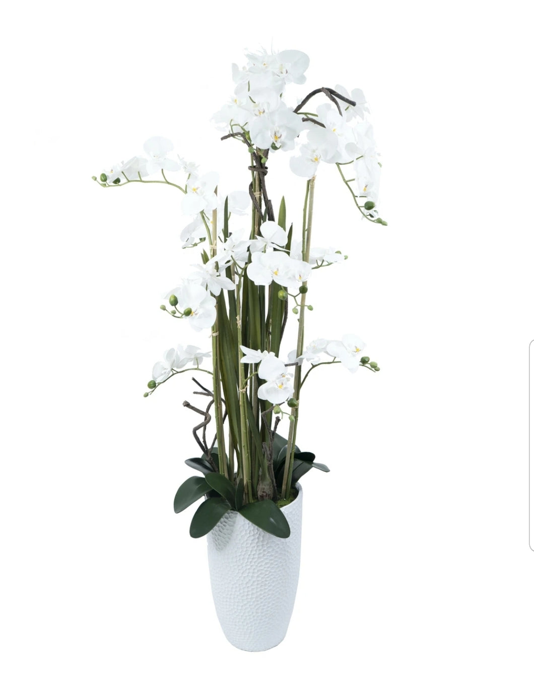 Floor Vase Orchid Arrangement

SH4410
