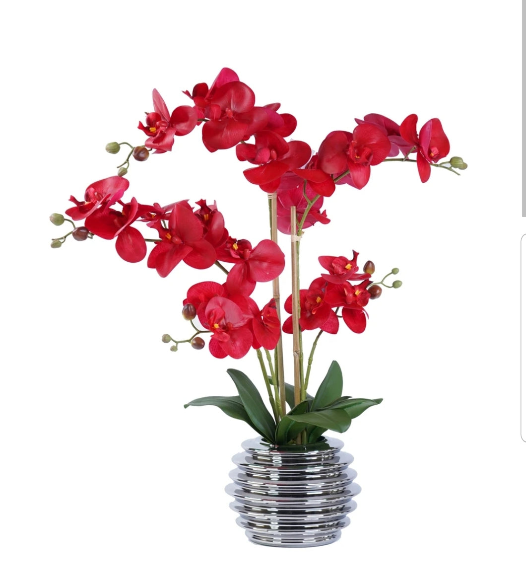 Orchid Arrangement

SH4436 Red