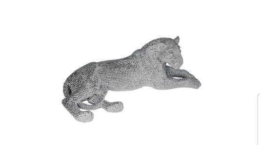 Laying Silver Leopard

SH8559351